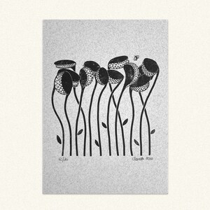 Stampa risografía A5 - Piante carnívoro