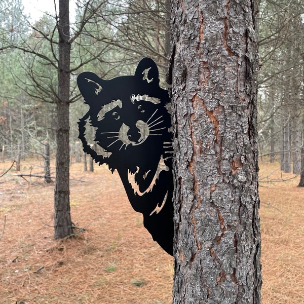 Adorable Raccoon Peek-A-Boo Metal Sign