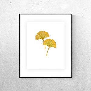 May include: A framed print of two yellow ginkgo leaves on a white background. The leaves are arranged in a simple, elegant design.