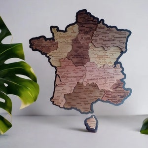 Carte de France puzzle 60/60 cm