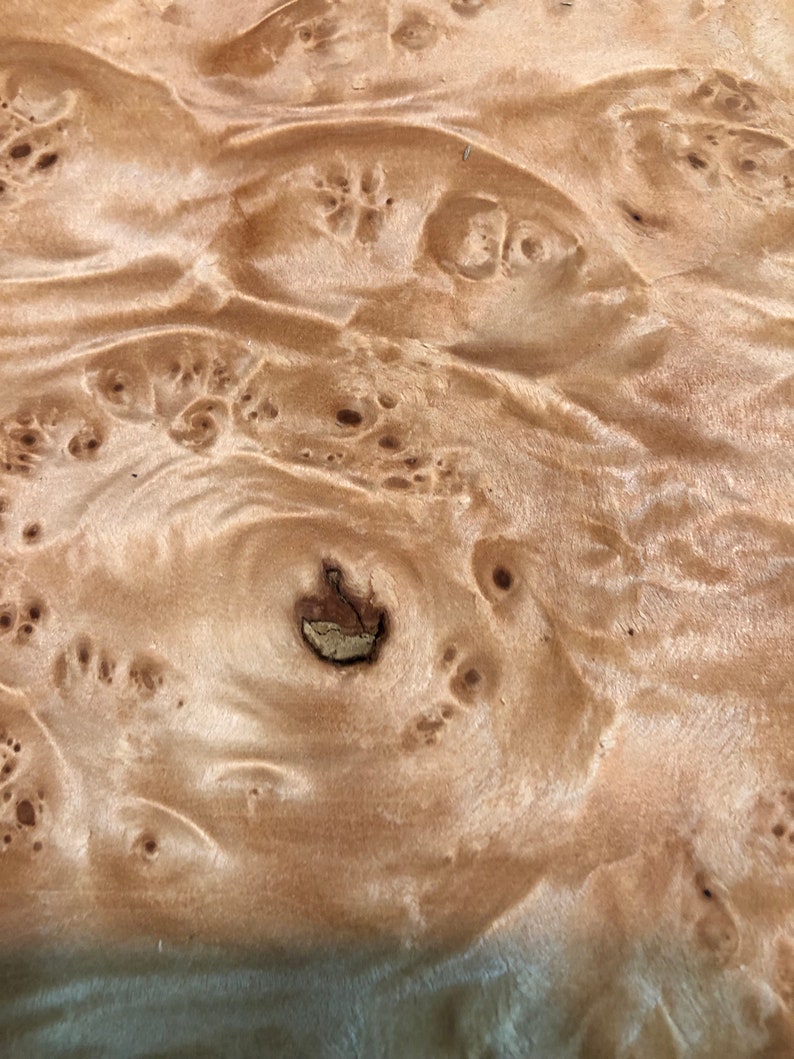 clustered maple burl veneer