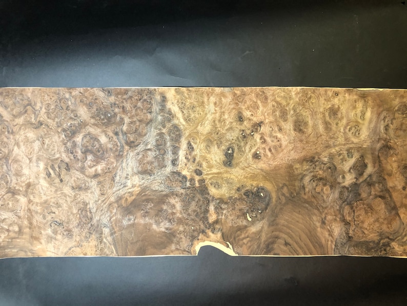 Paper Backed Walnut Veneer Etsy