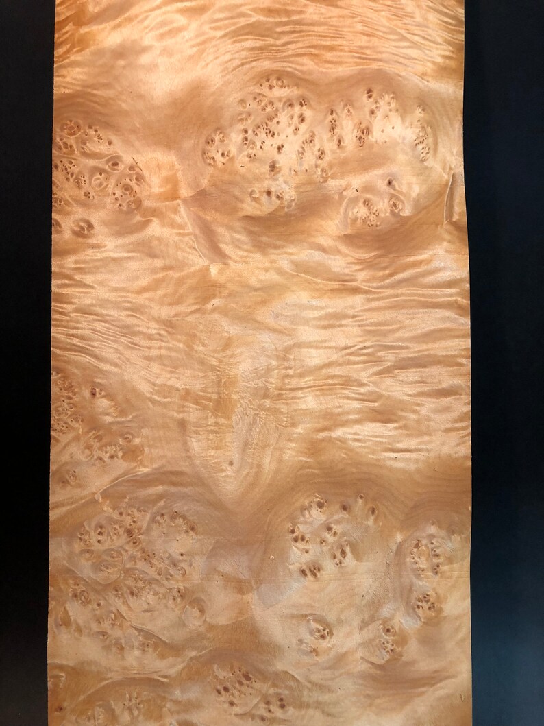 clustered maple burl veneer