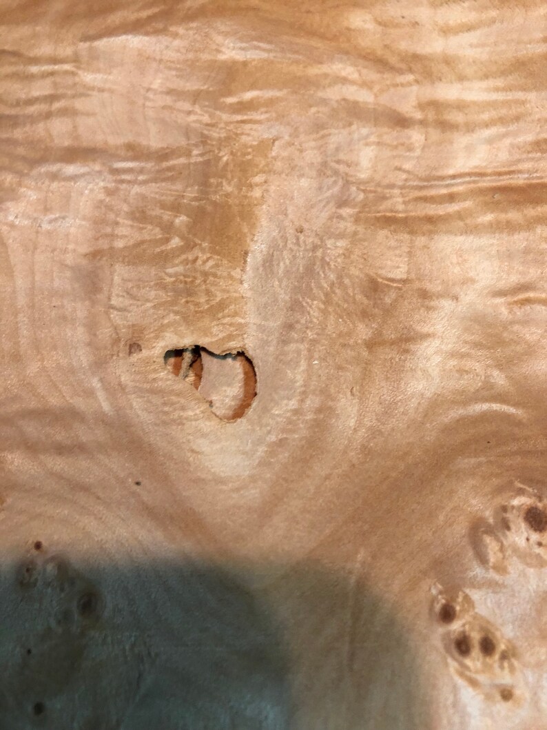 clustered maple burl veneer