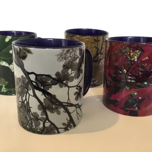 City Trees Mug - Single mug, you choose:  Dogwood, maple, fig or larch - Urban trees - Nature mugs