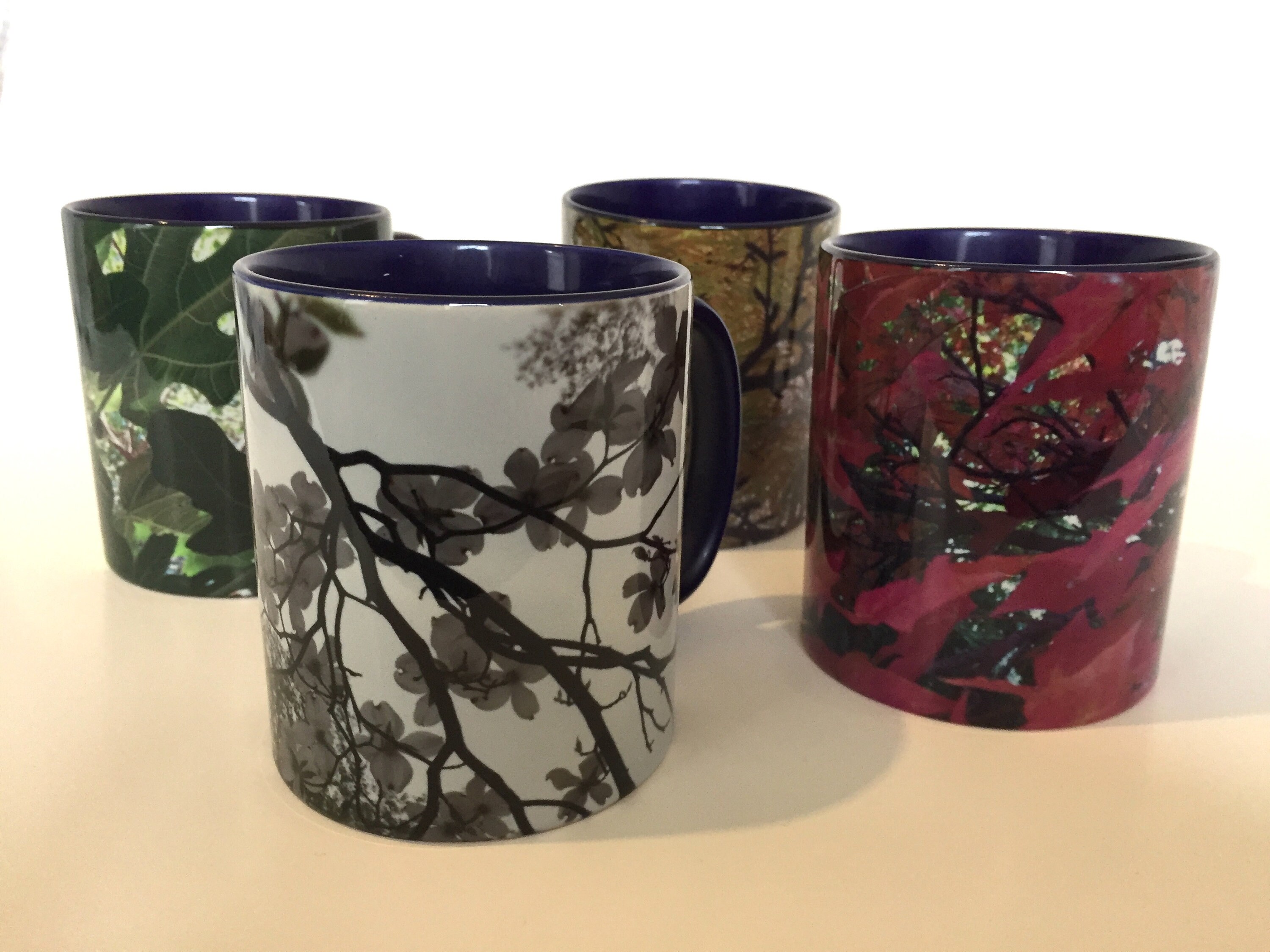 City Trees Mug Set - Set of 4 mugs - Urban Trees - Dogwood, maple and more - Nature mugs
