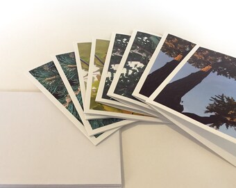 Ginkgo Cards Mixed Set - Set of 8 Note Cards -  Urban nature photography - Ginkgo trees in all seasons