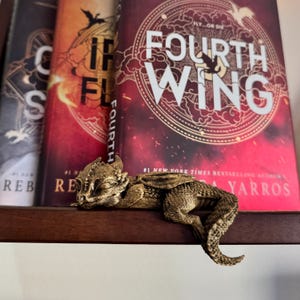 Fourth Wing Inspired Sleeping Andarna Dragon Shelf Decoration