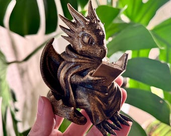 Fourth Wing Inspired Reading Dragon Shelf Decoration