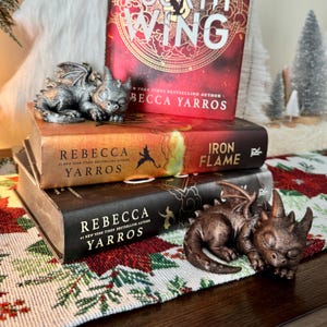 Fourth Wing Inspired Sleeping Baby Tairn Dragon Shelf Decoration