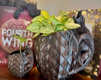 Fourth Wing Inspired Dragon Egg Planter