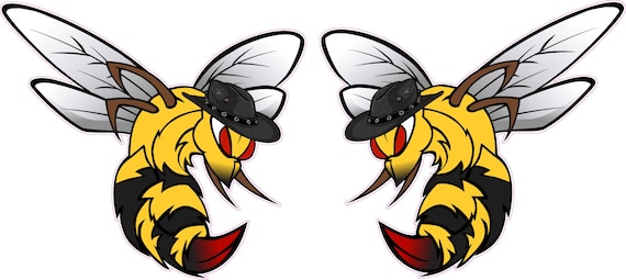 Stinger Hornets pairs decal