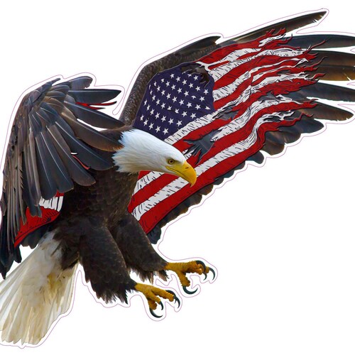 Soaring Bald Eagle With American Flag, Bald Eagle Carrying American Flag, Majestic American