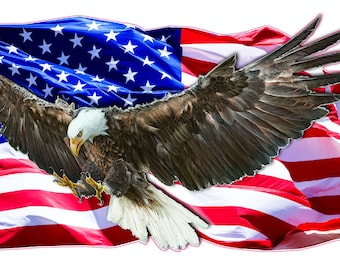 American Flag Attack Eagle Head Graphic Mural Decal Sticker American Flag Attack Eagle Head Graphic Mural Decal Sticker