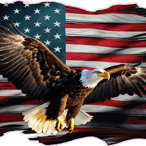 American Flag grudge bald eagle decal sticker