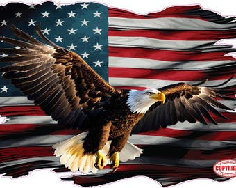 American Flag grudge bald eagle decal sticker