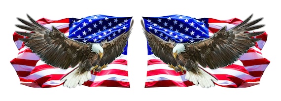 Eagle Clean American Flag pairs Decal sticker