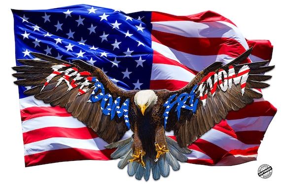 Soaring Bald Eagle American Flag Freedom Wall Decor Decal 36 in