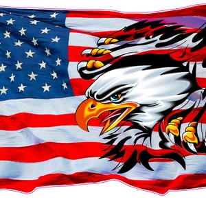 Ripped American Flag Eagle Decal sticker