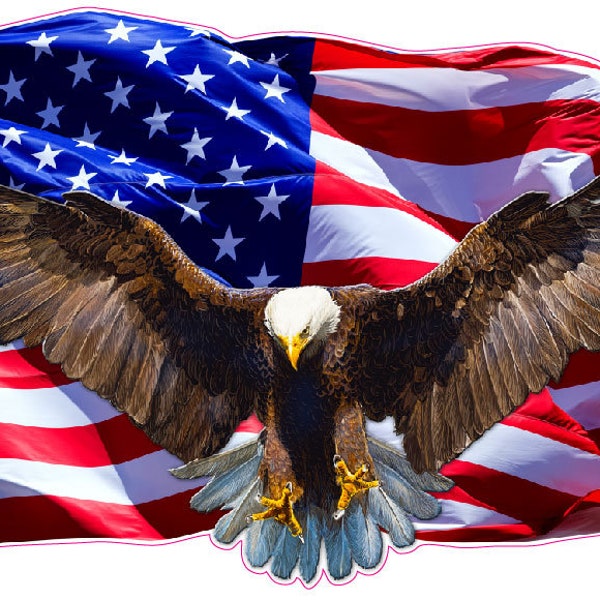 American Bald Eagle & American Flag Decal Pair – Glossy Vinyl For Cars, Trucks, Motorcycles