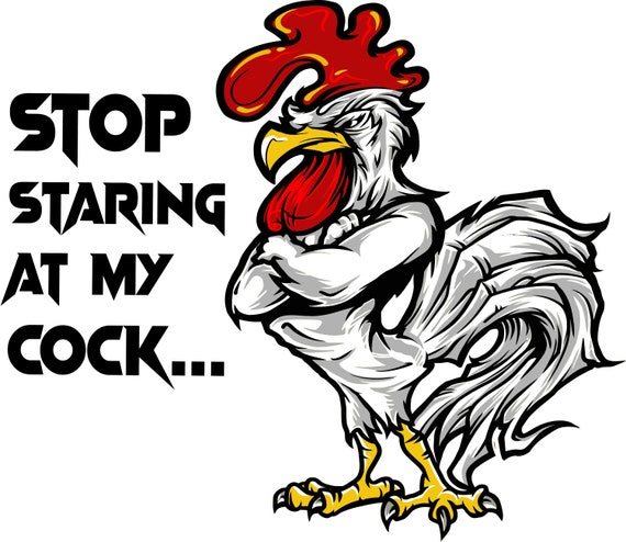 Instant Digital Download  Stop staring at my cock Eps, Svg, Dxf, Jpeg, Png