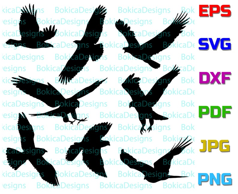 birds of prey silhouettes, birds of prey SVG, DXF, EPS, Pdf, Jpg, Png image 1