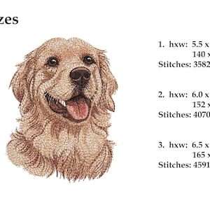 May include: An embroidered design of a Golden Retriever's head, showcasing its fur and facial features. The image includes size options: 140 x 108 mm, 152 x 118 mm, and 165 x 128 mm, with stitch counts provided.
