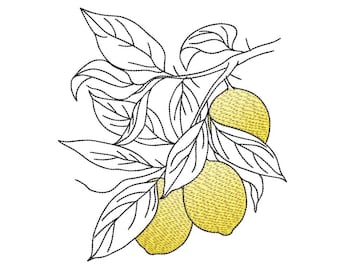 Diseño de bordado de limón, fruta fresca, archivo de bordado a máquina, 4 x 4, 5 x 7, 6 x 10 pulgadas, descarga instantánea, patrón de decoración de cocina de cítricos de verano