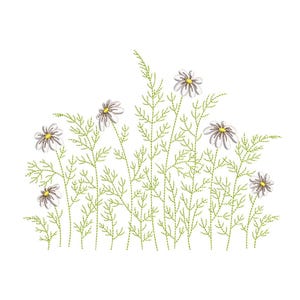 Diseño de bordado a máquina de flores, archivo de bordado de margaritas, 4 tamaños, descarga instantánea