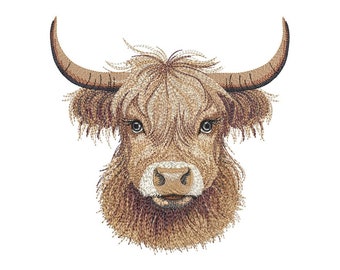 May include: A close-up of a brown and white Highland cow's head with long, shaggy hair. The cow has large, dark eyes and a brown nose.