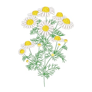 Daisy embroidery design,  Flower machine embroidery design, 3 sizes, Instant download