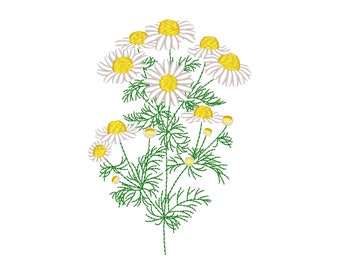 Daisy embroidery design,  Flower machine embroidery design, 3 sizes, Instant download