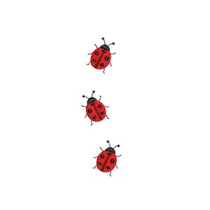 May include: Three embroidered ladybugs on a white background. Each ladybug is red with black spots and a black head. The ladybugs are arranged vertically, with the top one slightly angled.