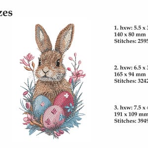 May include: Embroidered design of a brown bunny rabbit with pink and blue Easter eggs, surrounded by green leaves and pink flowers. The design is available in three sizes: 5.5 x 3.1 inches, 6.5 x 3.7 inches, and 7.5 x 4.3 inches.