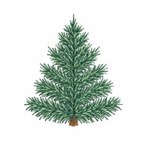 May include: A conical evergreen tree illustration featuring dense, layered branches with dark green and light green needle-like foliage. The tree has a symmetrical, triangular shape that tapers to a point at the top and a small brown trunk base.