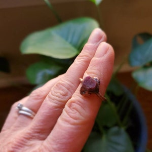 May include: A copper-colored ring with a large, rough-cut, dark red gemstone. The ring is worn on a finger, with a silver ring visible on another finger. Green foliage is in the background.