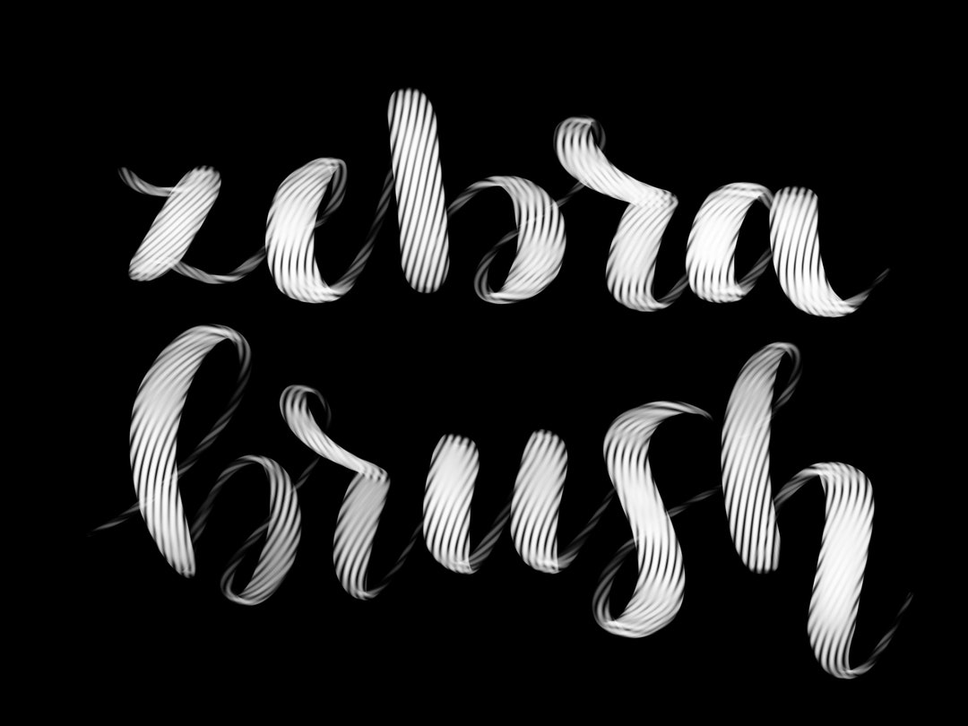 Zebra Procreate Brush Digital Download Etsy