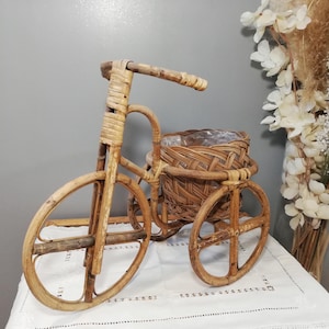 Peut inclure: Un pot de fleurs en forme de tricycle en osier avec un panier tissé pour siège. Le pot est en osier brun naturel et a un aspect rustique et vintage.