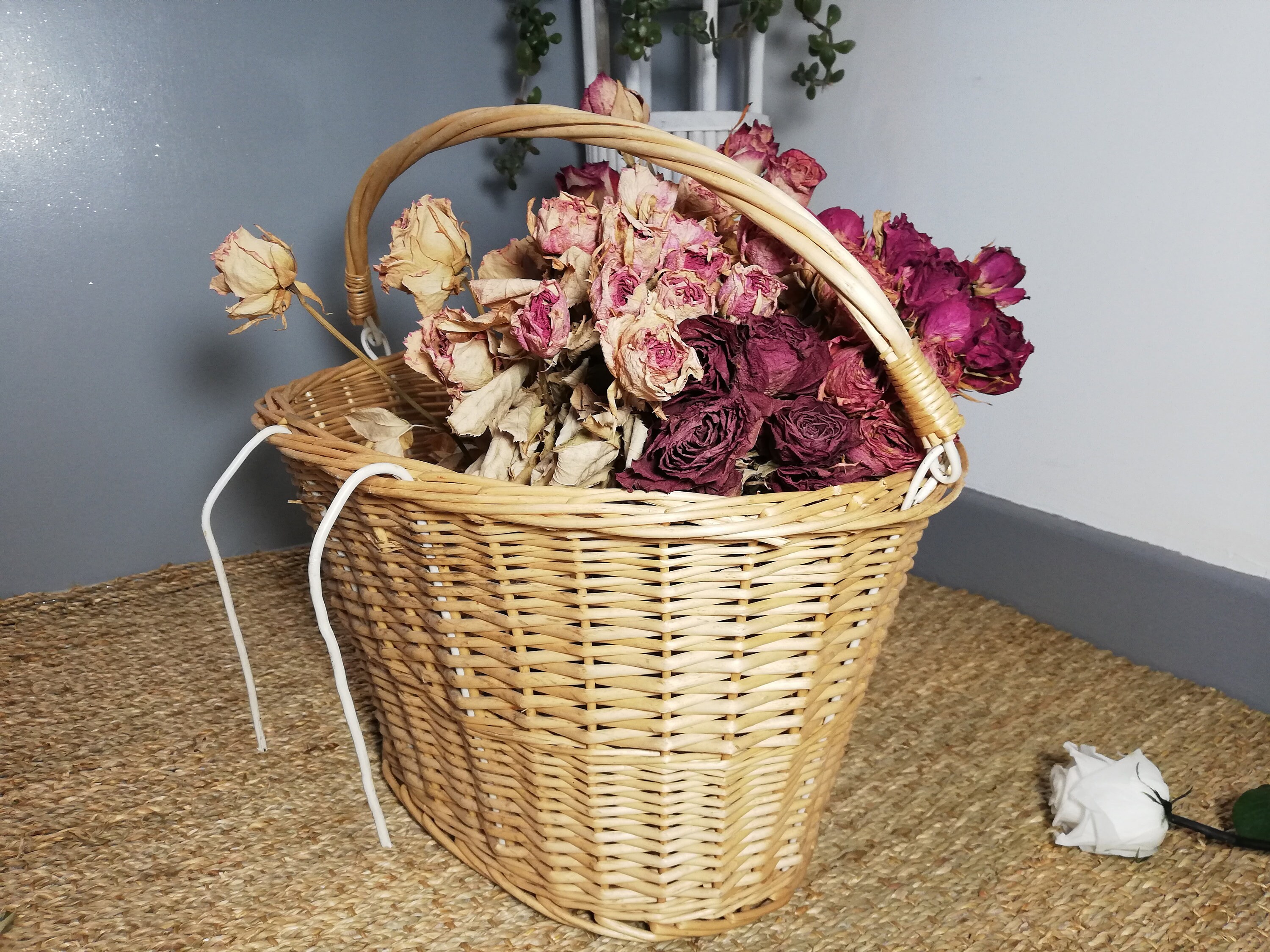 Bicycle basket / Rattan basket / Wicker basket / Rattan basket / Basket