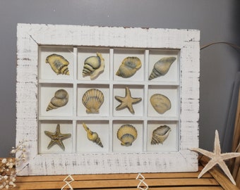 Marine frame / Sea painting / Marine decoration / Marine frame / Shell painting