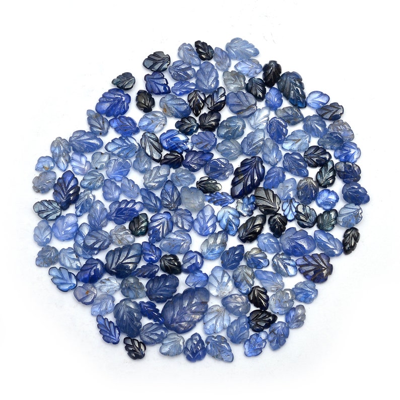 May include: A collection of blue leaf-shaped gemstones in varying shades of blue and black, arranged on a white surface. The gemstones are carved with intricate leaf vein details, creating a naturalistic aesthetic.