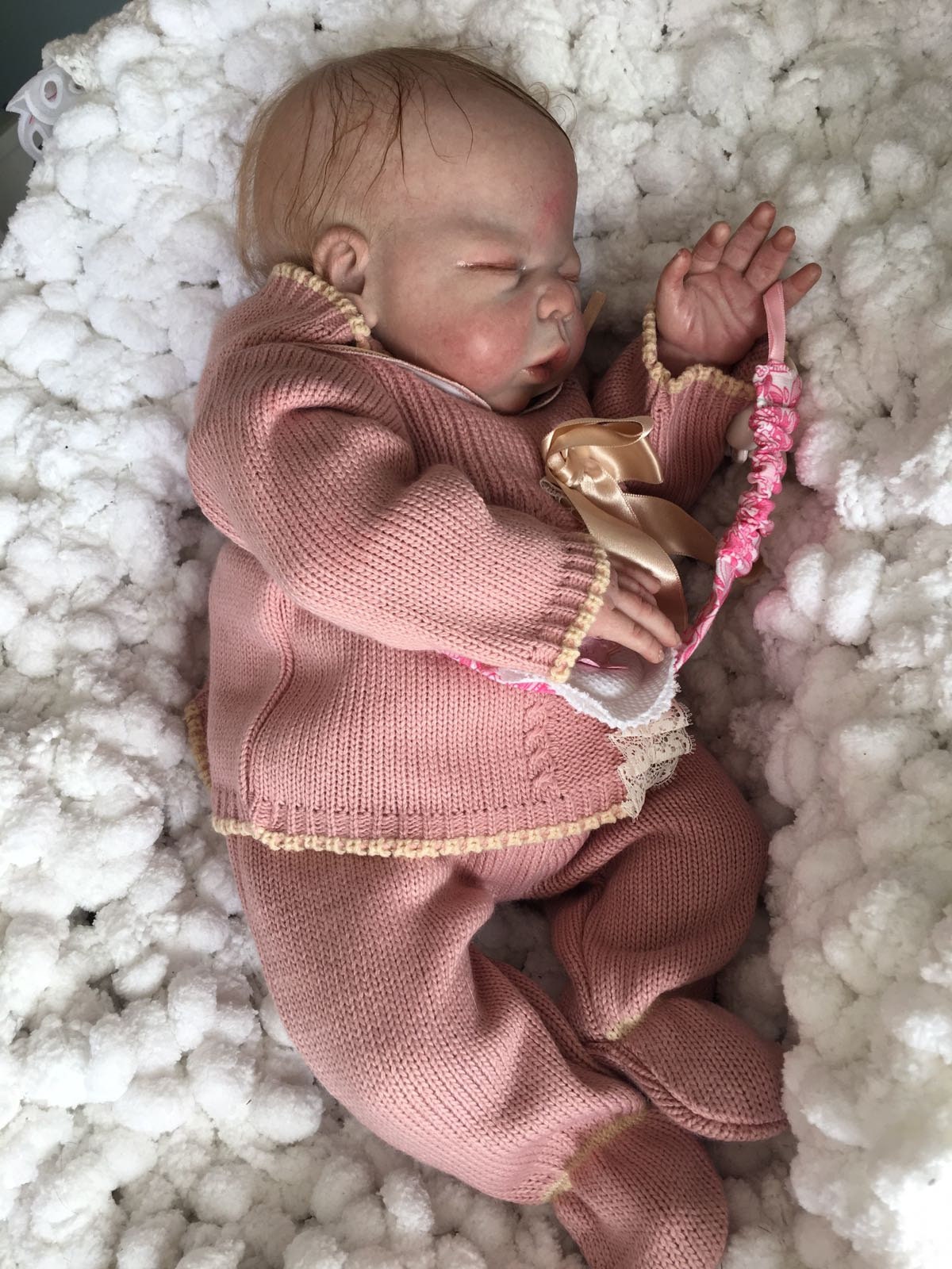 paula's reborn babies