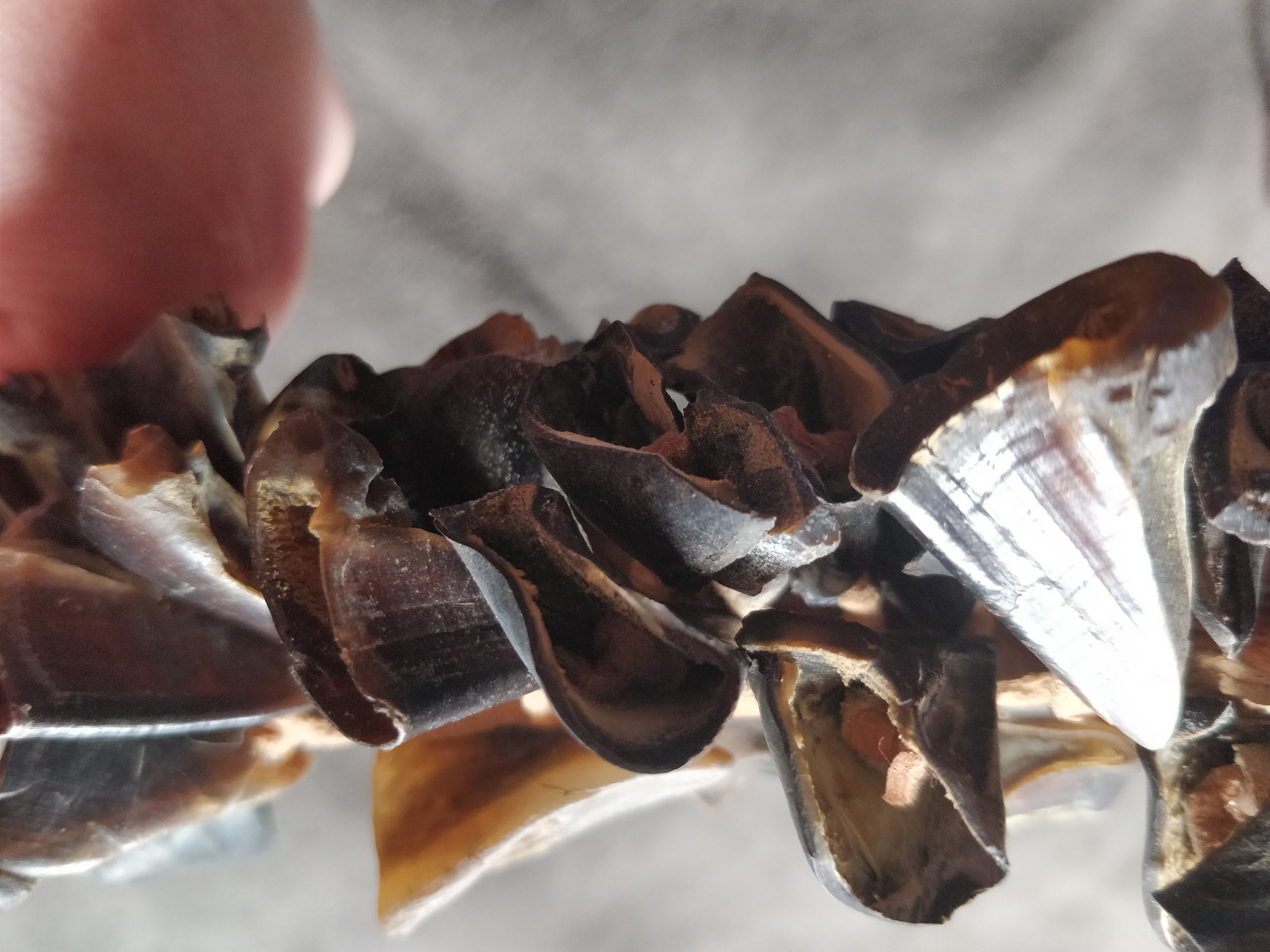 Native American Inspired Hoof Rattle, Medicine Man Rattle, Shaman, Deer ...