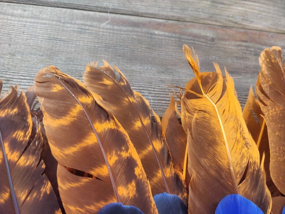 Childhood memories, Childs feather bonnet and Tom… - image 7
