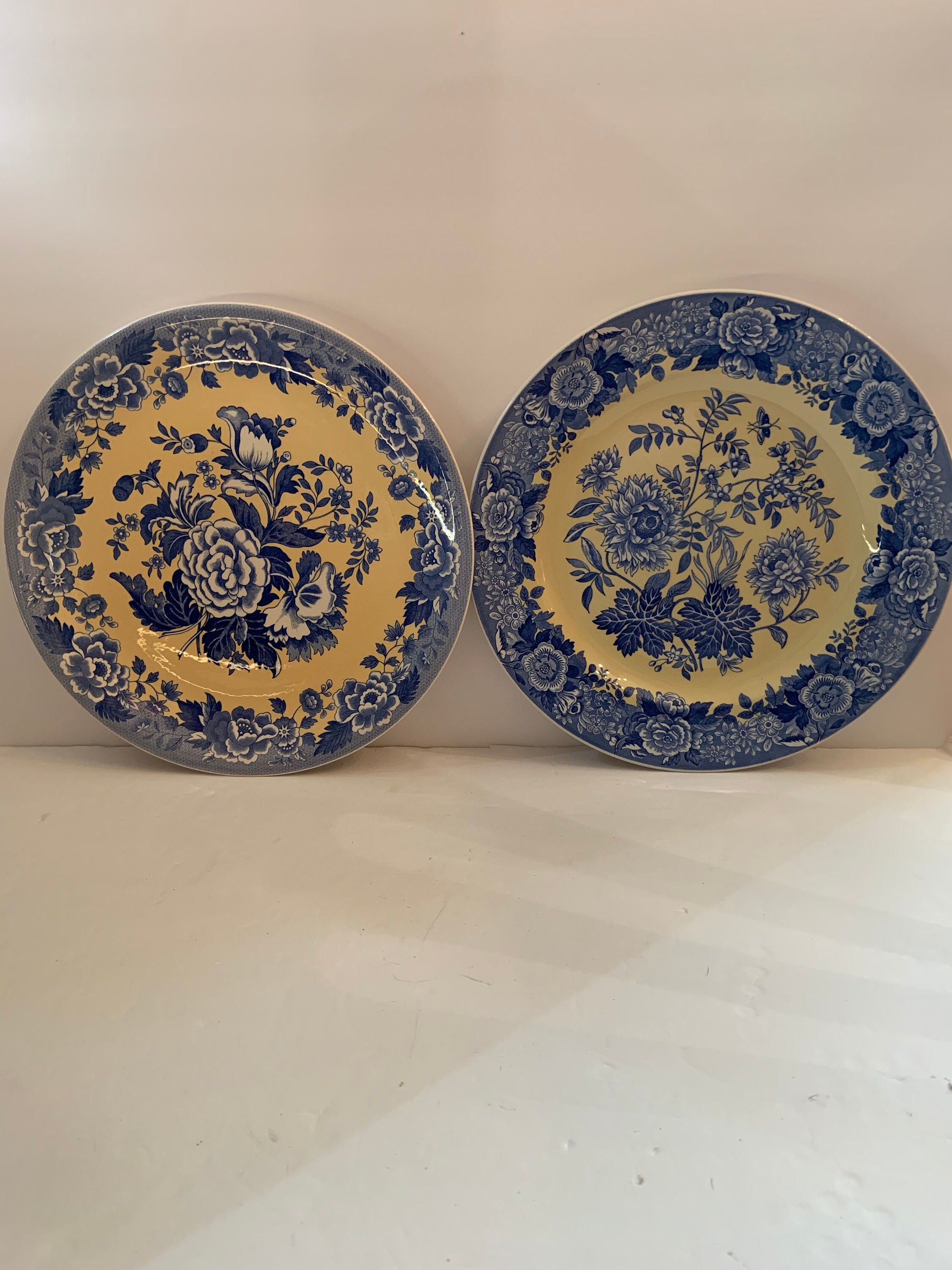 Set Of Two The Spode Blue Room Garden Collection Yellow | Etsy