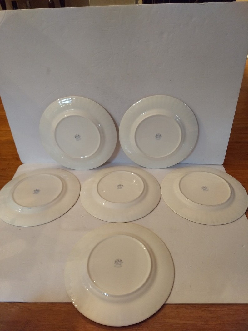 Set Of Six Vintage Made In England Royal Albert Bone China Memory Lane Dinner Plates