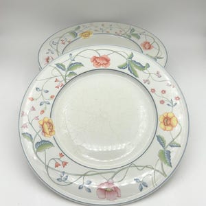 Set Of Seven Vintage Villeroy & Boch 1748 Albertina Pattern Vitro Porzellan 10 Inch Dinner Plates With Mulitcolor Floral Vine Design On Rim