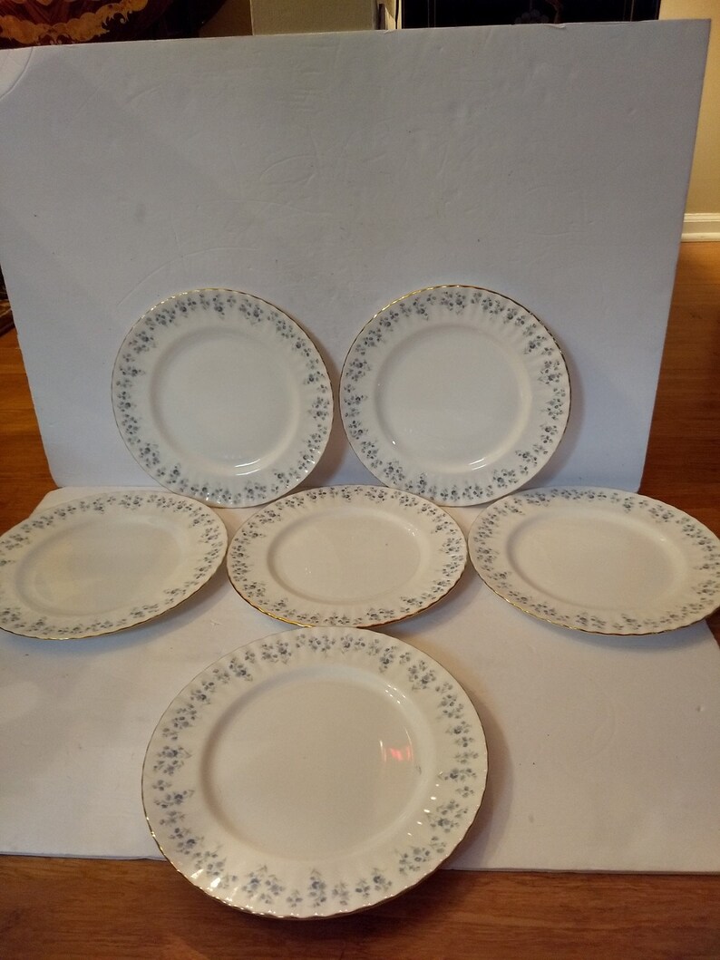 Set Of Six Vintage Made In England Royal Albert Bone China Memory Lane Dinner Plates