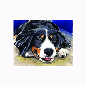 Berner Sennenhund Grußkarte