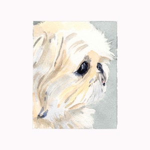 Note/Carte de voeux pour chiot shih tzu